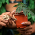 The Mainstreaming of Marijuana Is Nothing to Celebrate