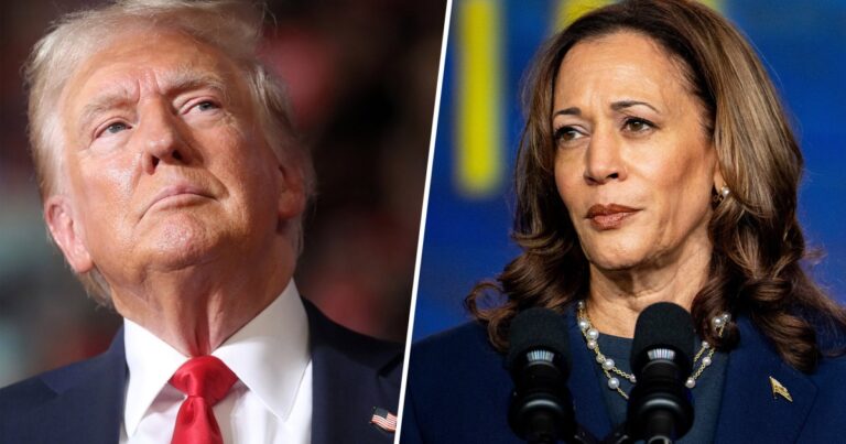 Trump’s comments on Harris’s race cast cloud on his campaign