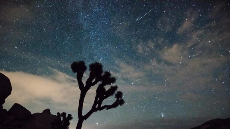 Two More Meteor Showers Are Coming: Here’s How to See Them